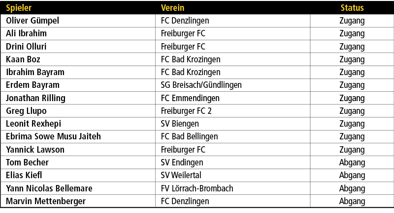Spieler,Verein,Status,Oliver G mpel,FC Denzlingen,Zugang,Ali Ibrahim,Freiburger FC,Zugang,Drini Olluri,Freiburger FC,...